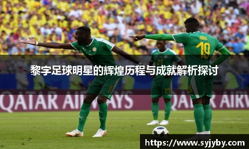 黎字足球明星的辉煌历程与成就解析探讨